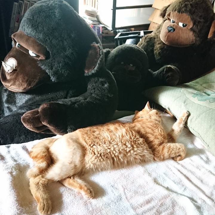 9024b124 b2f3 49a5 b223 ff64daa7c6af 1658122725672