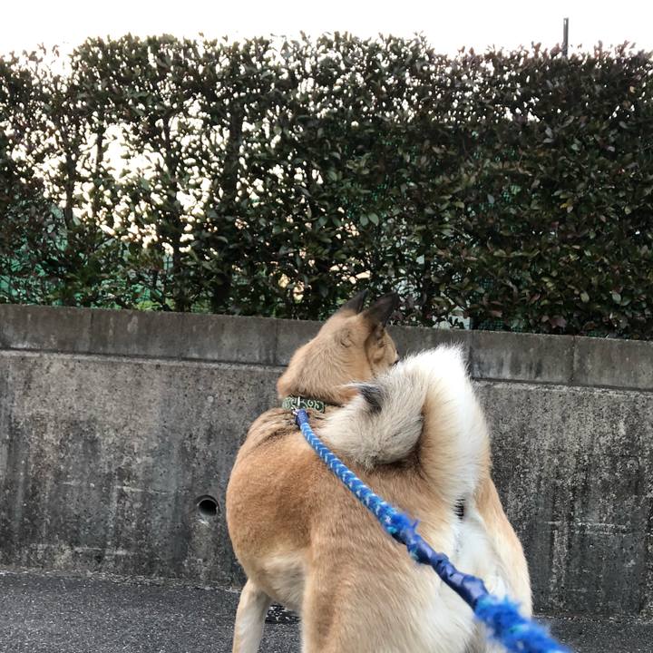 9024d4f4 3ca8 4774 a976 a0432578e2e3 1615380141749