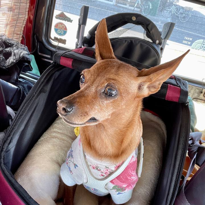 9024da58 70d6 43f0 8684 90102fb692ba 1697367903202