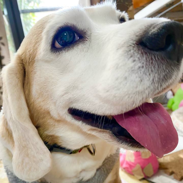 9024e10d e8d4 4ffa 9c71 d9d7ba2f60c7 1646193103387