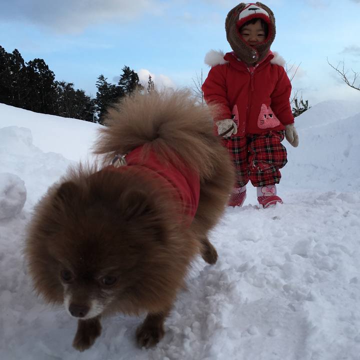 9024fe0c 52c8 44df 99a1 b2c18c25773f 1519130176614