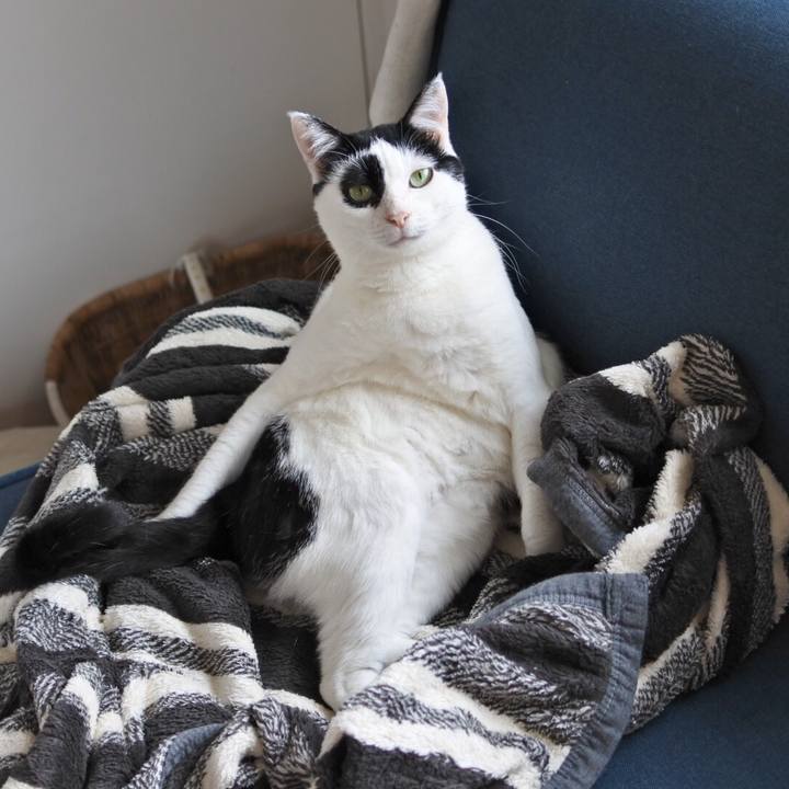 9025056d edb8 485f b0ea 9248a0ef699e 1527311031989