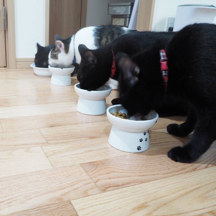 90253352 e805 4b21 80e6 7080e716b915 1542020086176