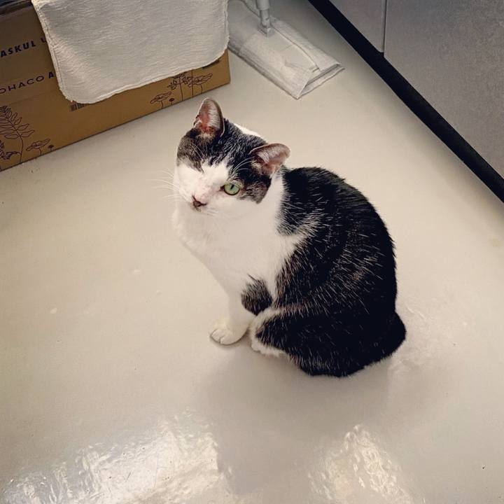 9025368e 5d26 4d24 8254 a386a0dff1ed 1613780294543