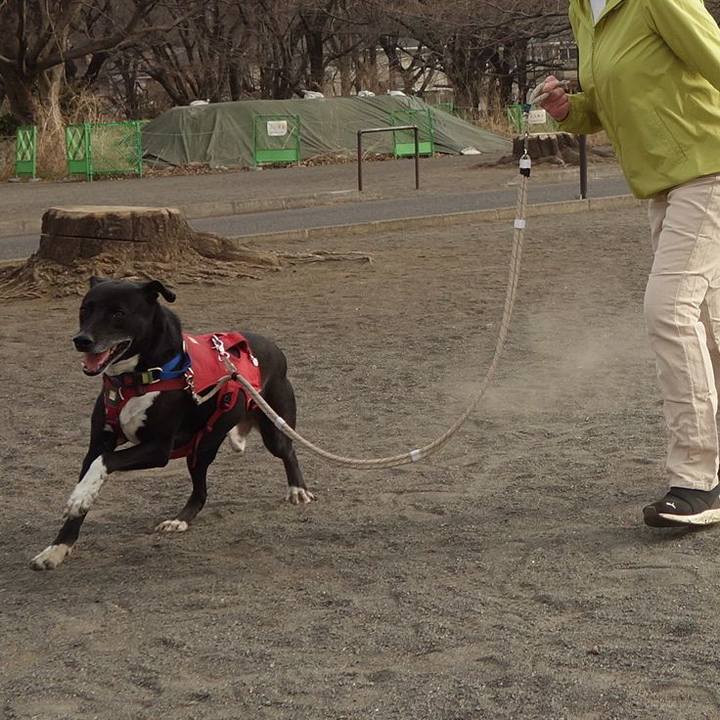 90254158 e353 4dd6 8cdd 165233dc2395 1678583506363