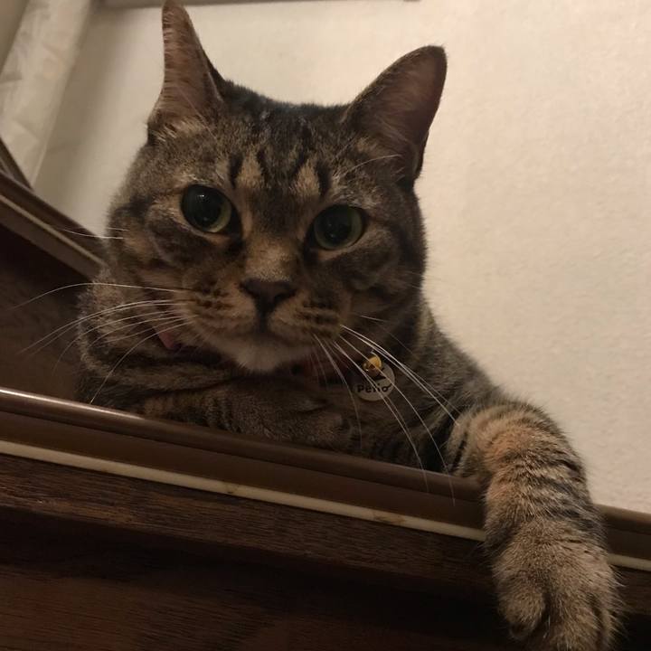 9025751d fcb0 480d 870e 4a66910efe2c 1591618527809