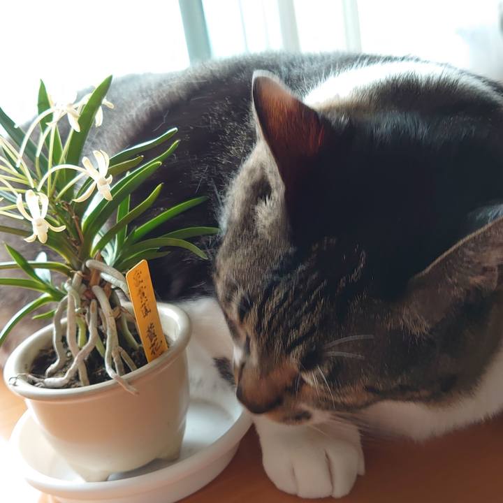 902583b1 db12 4053 b73a 0c9fb91762ab 1623883127019