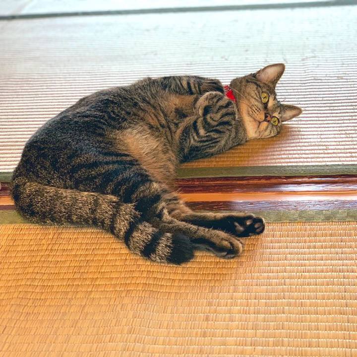 90258c55 5292 4c79 88de 91132f390fe6 1570239594162