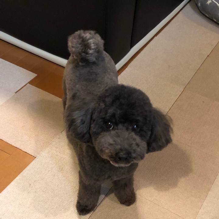 9025a0b0 d9cc 4968 8535 a49fcdecff48 1609162402837