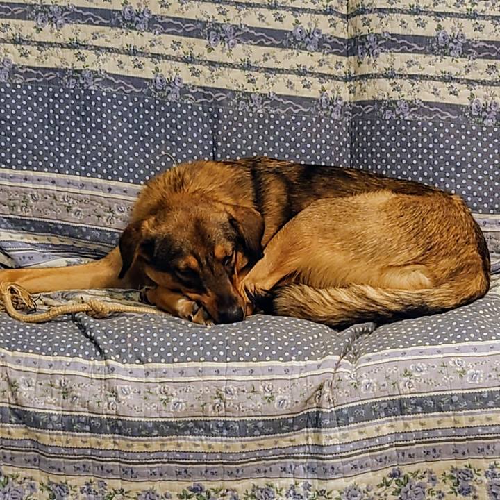 9025a2e4 cae6 44e6 8e36 5f6f5e0b1681 1701768895539