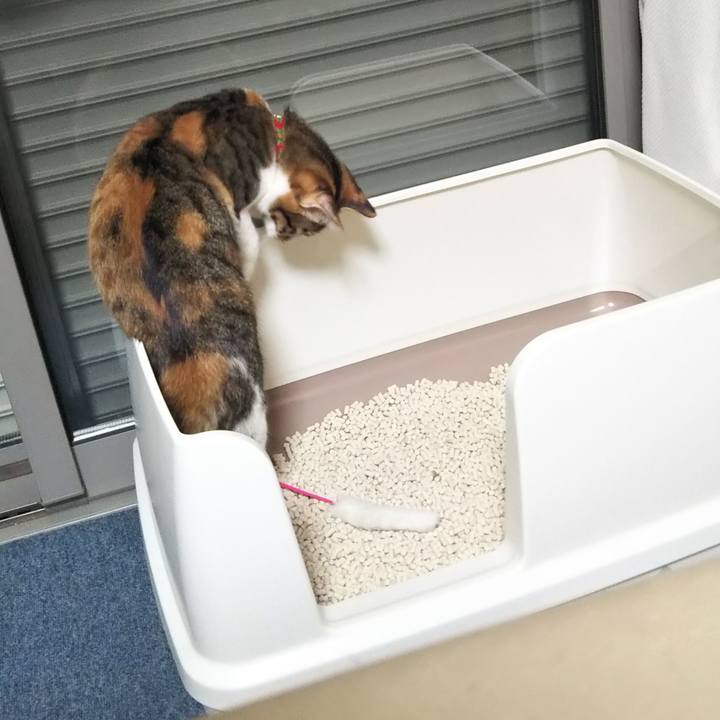 9025b26d 98c2 405e 9050 7ce14fd7be76 1643452665585