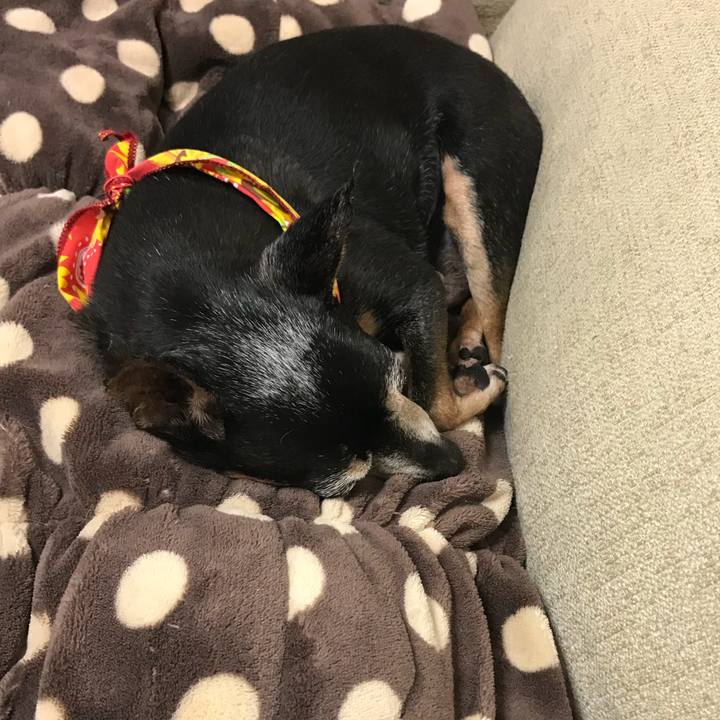 9025b686 daa2 4630 bcbf 6254cebf8648 1566638171512