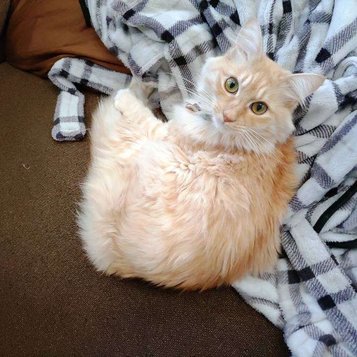 9025d2bb 8d7b 4ab5 8b3b 7a56288029f3 1702782429439