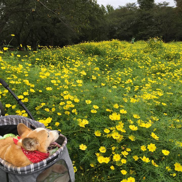 9025df38 cccb 454a 93f7 1497af71a4c0 1568463388597