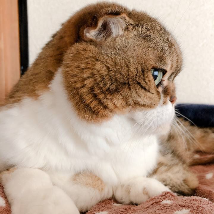 9025e7d7 e8ac 41bb 929a 4be3b15b8c9d 1574558612124