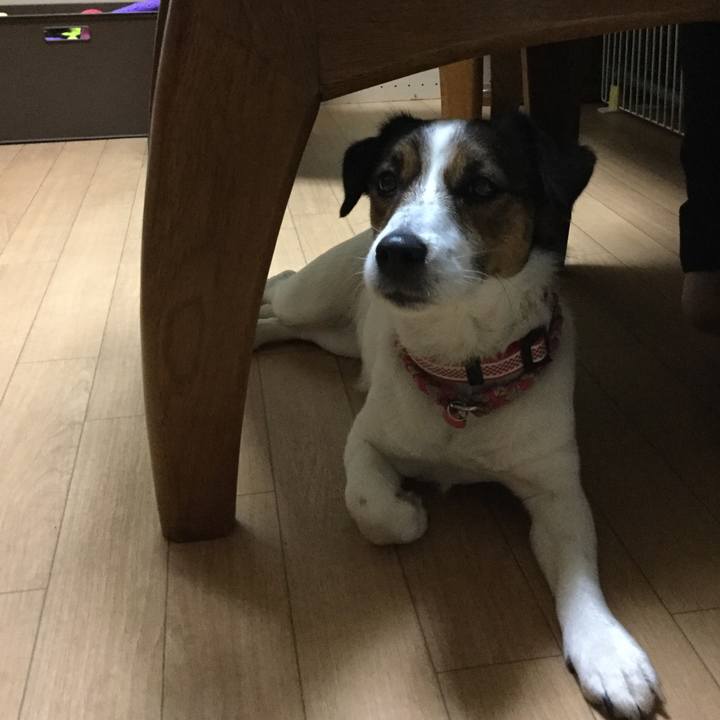 9025eb69 290a 47f7 b199 9f7db8bca86b 1523017212285