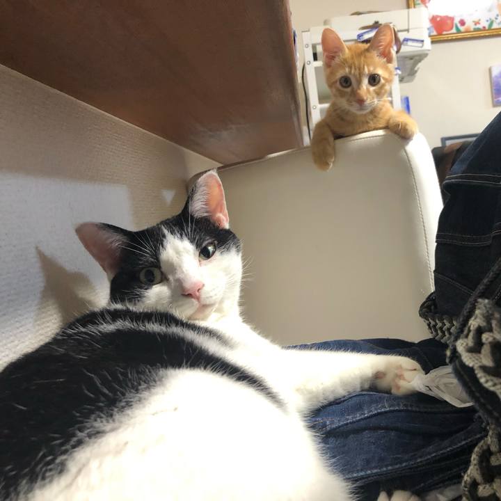 90260d92 1b0d 46b2 b1a6 4937ad5308c0 1566048441790