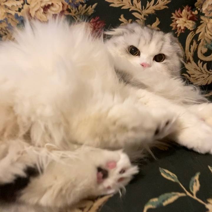 90260e4f 2912 4ef4 9f3b 18242796d3b7 1640961384465