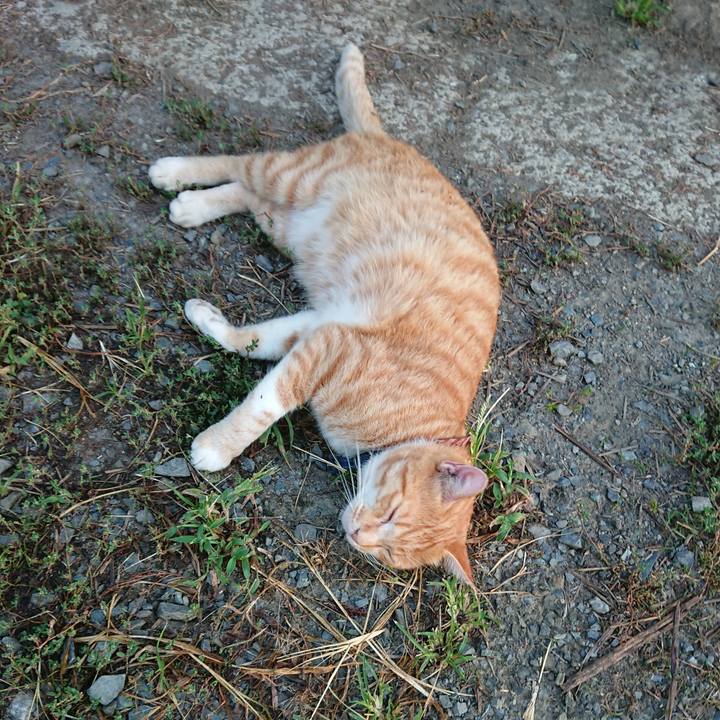 9026230a ea84 4f03 aa08 b37542b82eb5 1565209493580