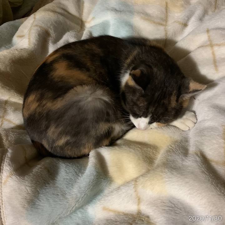 90263167 9c8e 4b41 9fb4 70df3a7b72e2 1606687032797