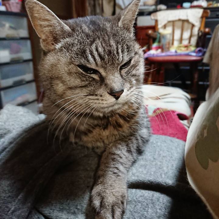 9026642a 6982 4311 aaaf 59ece66dc7c1 1579553123853