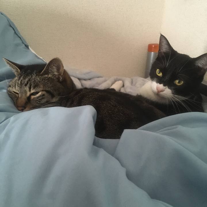 90266b52 ac39 4e6c 8193 1de0f00ea1f3 1553564038830