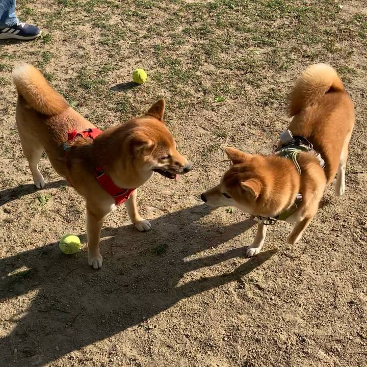 90269a0b de1e 4526 8016 9241bb99e82b 1650165397264