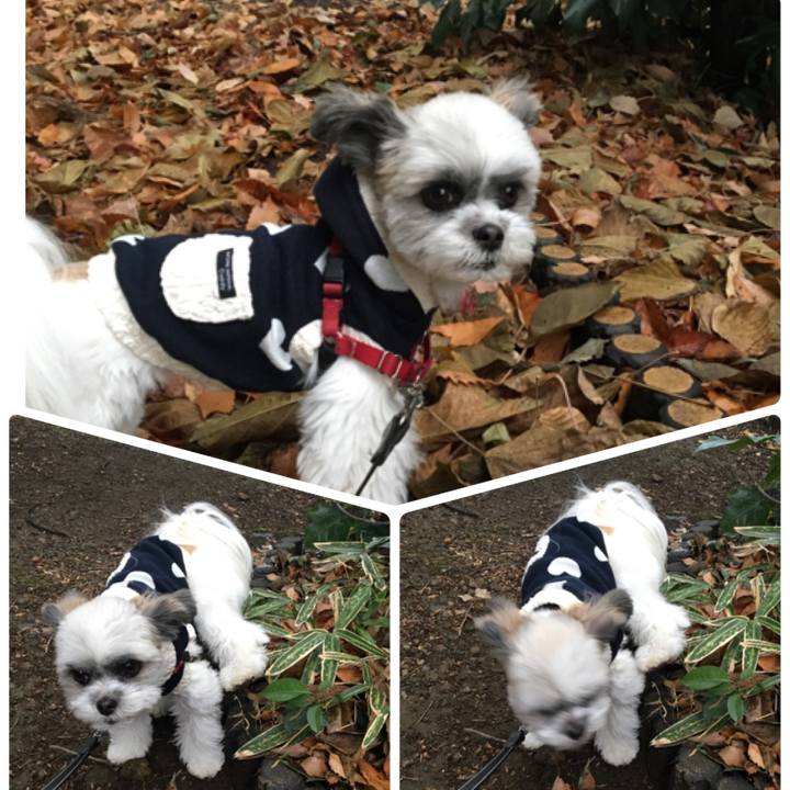 9026cde2 d3a5 4b3d b35d e1df9ef1411f 1516069091216