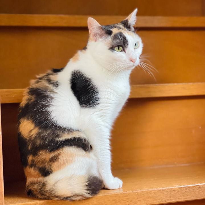 9026d6f5 4909 4750 9ba9 ab42cd3a7dbe 1626834480238