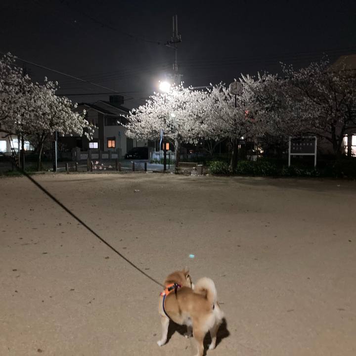 902707bc c837 4072 ad33 a08df4003d35 1616758243408