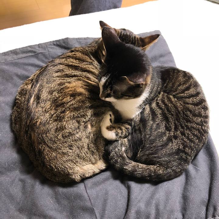 902719a9 da09 4cae a0f3 f29a51925679 1523602843650