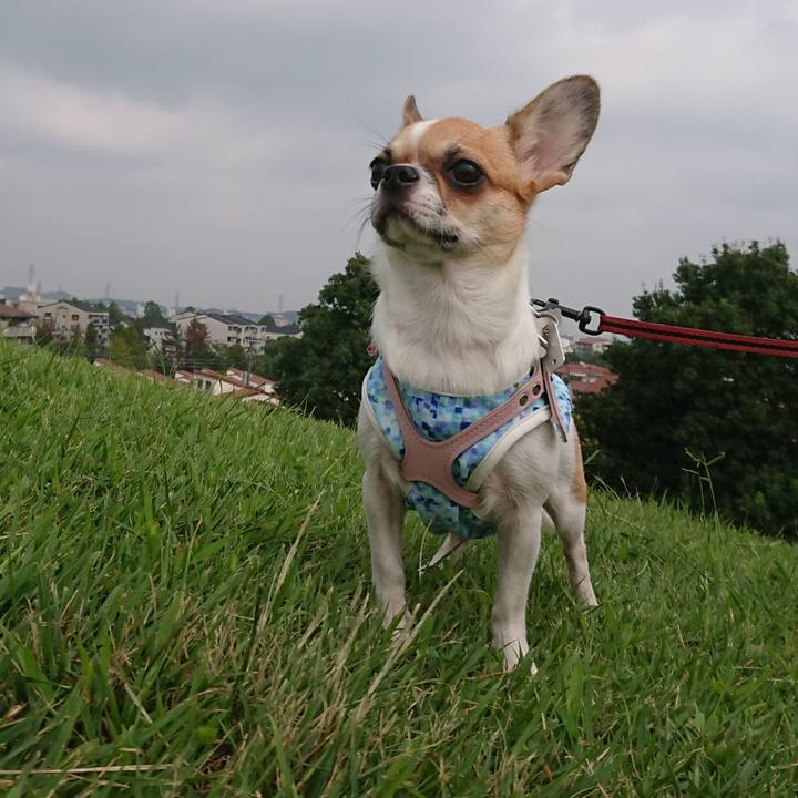 90275716 106f 4a19 a578 f727687f57d6 1537166442017