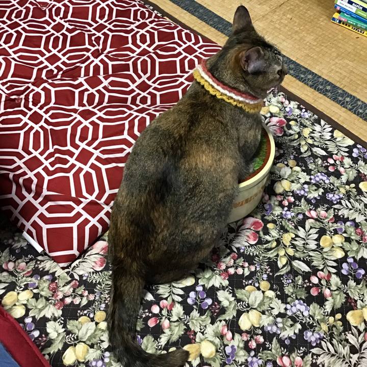 90277a40 e952 4d15 a53f f7a876bf15e2 1623570947058