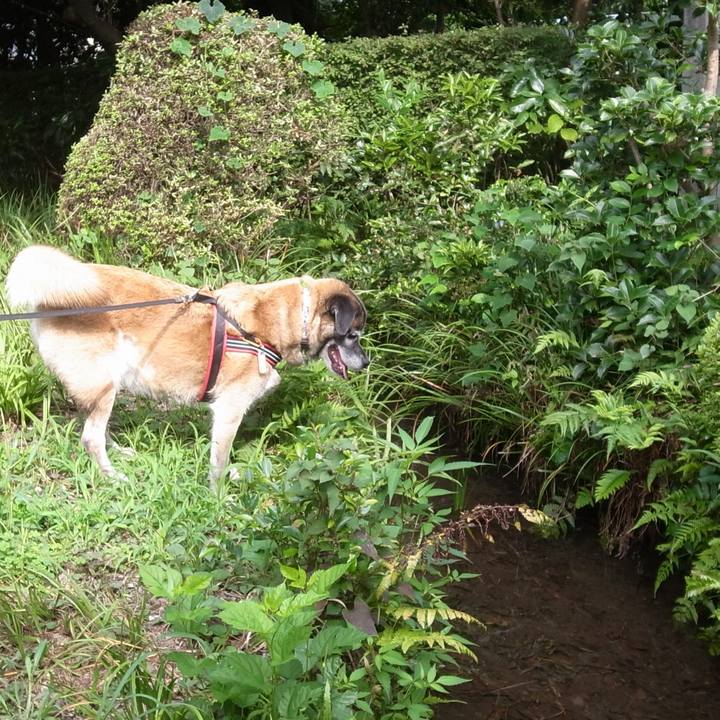 9027b29b 62cd 434e 88eb a93668941d21 1659140101781