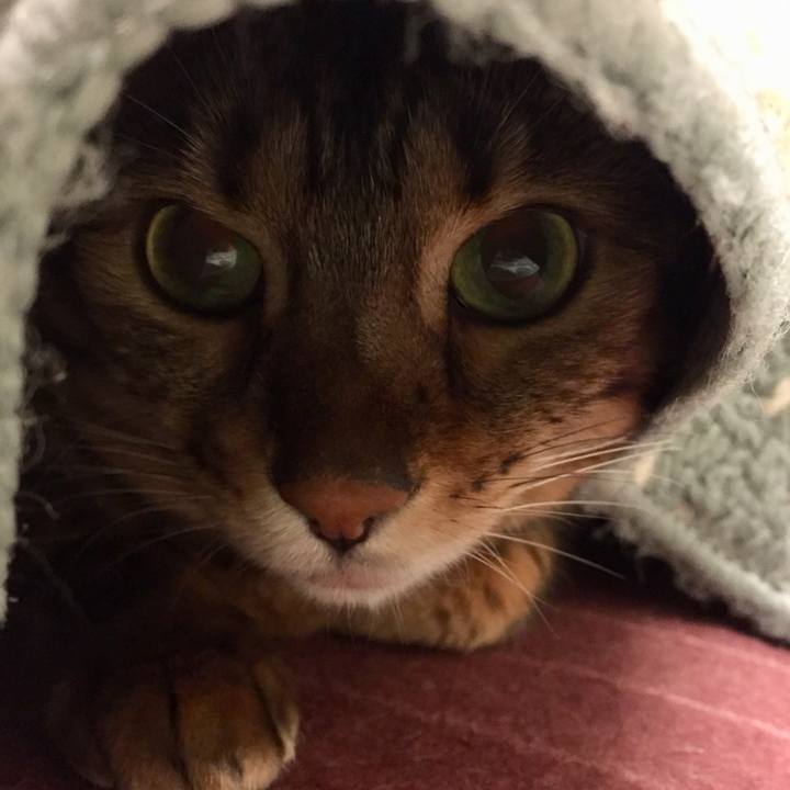 90280824 bb41 46a1 ac7f 38e6070f7644 1530135373031