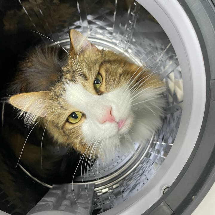 90282383 bd44 4c7f a0b0 2f0b91c82a40 1674333312522