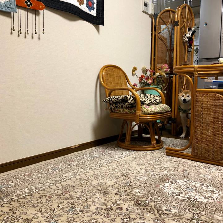 90282690 6313 4da8 920d 53c0ee4d8cac 1533204033186