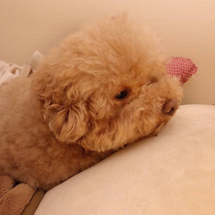 90283b23 0ec7 4f42 8e35 03524588432b 1513640318744