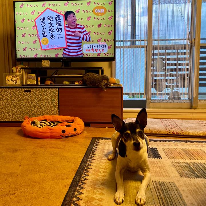 90285d17 10f5 4422 8968 e0a98993a8e6 1606093376603