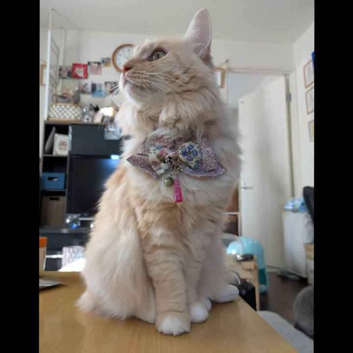 90288f38 6c2d 4a8f 8839 024fc0da8fa1 1768011851216