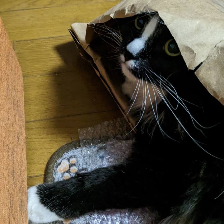 90289253 ef18 4838 ab70 66863607a6fc 1683254535827