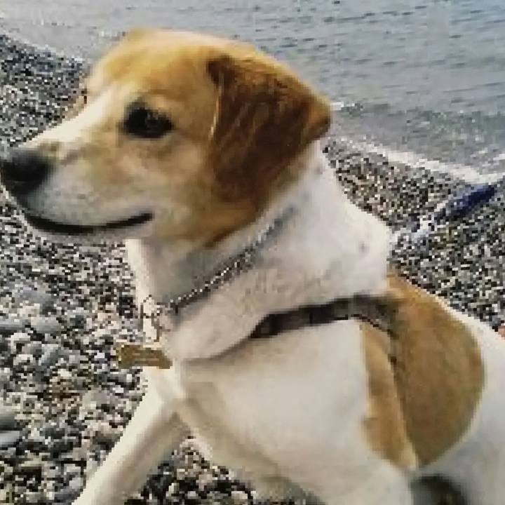 90289624 9774 40b0 92d7 613e9db6e982 1513671510330