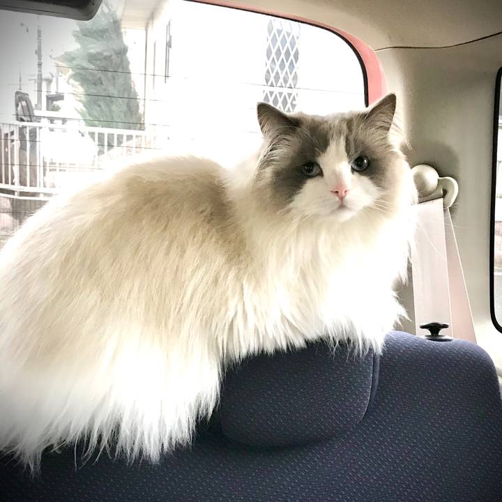 90289f53 0ec5 4c1a 8072 035abcc08a6b 1582690540905