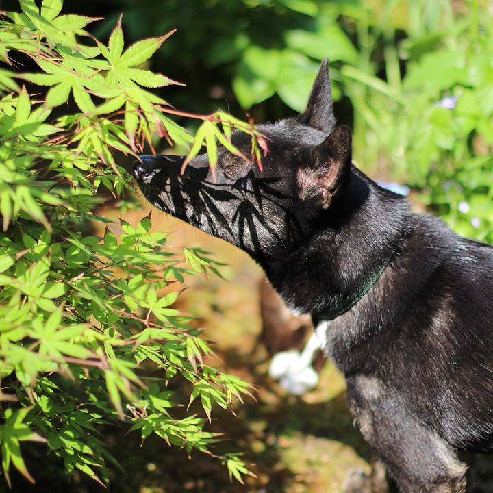 9028a4fa 7b14 4a2a 8131 d5fe1352be68 1524480117381