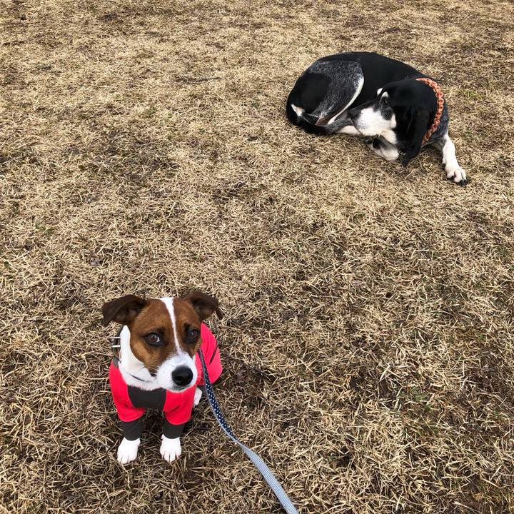 9028f60c c1fb 4f7b b451 bf4fb1fdc9ca 1583234678568