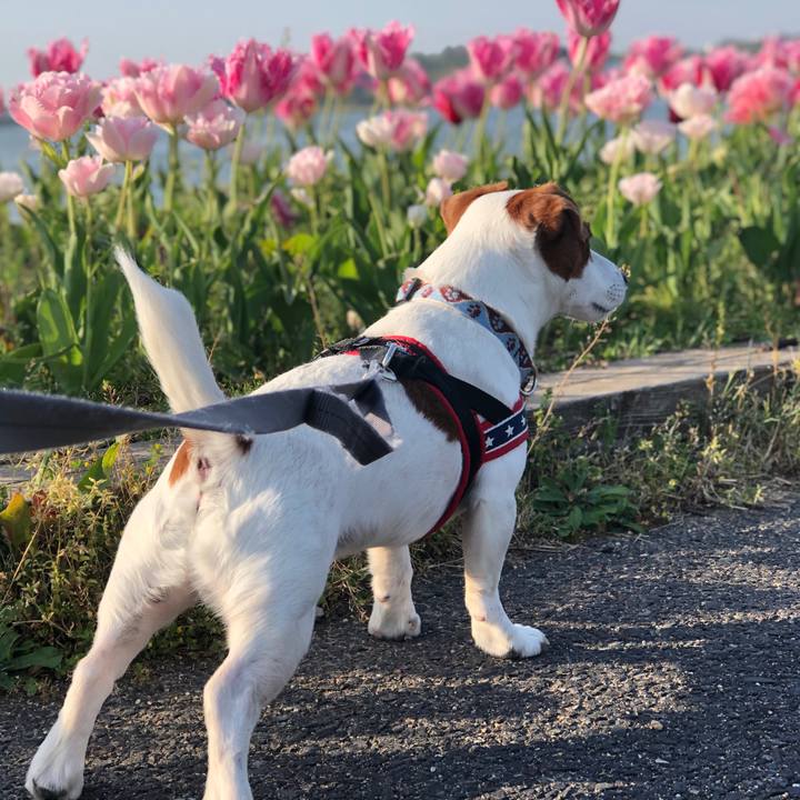 90291bd6 3e37 4ea1 b9e1 589a47b48948 1619001968433