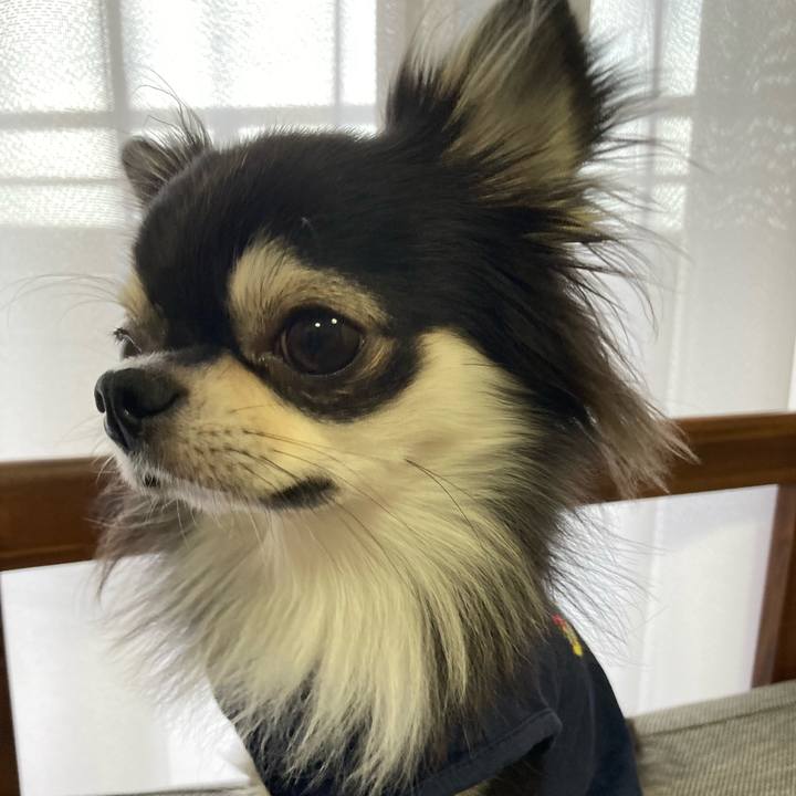 902999fb 58c1 4a11 9d23 c8c52f84c687 1637462973067