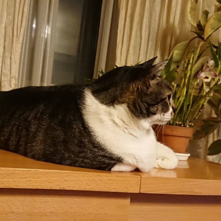 9029a926 e995 43a6 b53a 74c06fb00a60 1523020758473