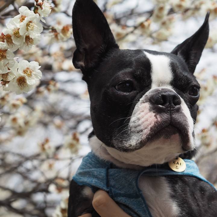 9029b25a b1e0 48bd b8b3 f78d258cd2fe 1647142784292