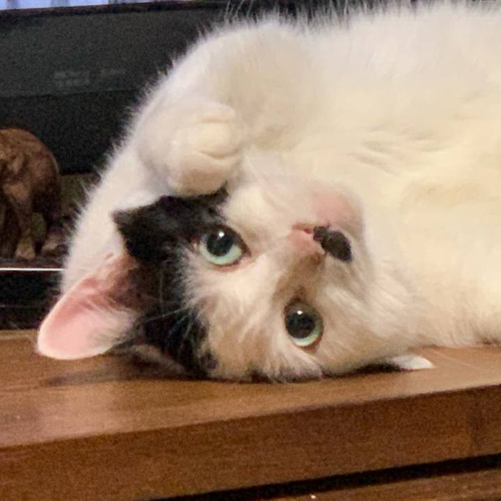 9029ef4b d00d 402a 9554 dce41a9dbd4f 1561192297616